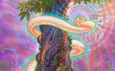Grounding Kundalini