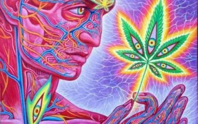 Cannabis & Kundalini