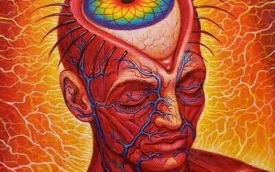 THE PINEAL &  DMT