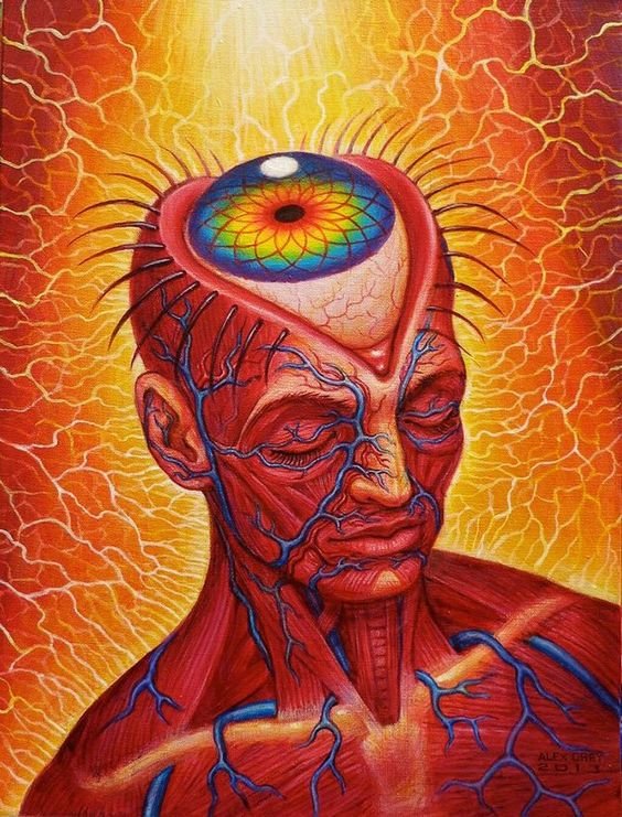 THE PINEAL &  DMT